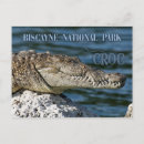 Search for teeth cards invites Crocodile