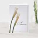 Search for white calla lily cards Condolences