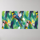 Search for colourful parrot posters Animal