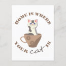Search for funny cat sayings postcards Pet