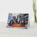 Search for bernese mountain dog cards Snow
