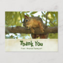 Search for squirrels photography Cute