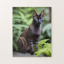 Search for siamese cat puzzles Pet