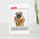 Search for funny pug cards Pugs
