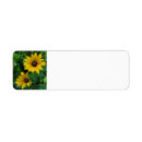 Search for sun flower return address labels Summer