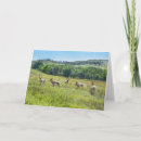 Search for custer cards South dakota