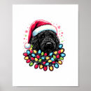 Search for labradoodle dog posters Dogs