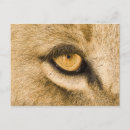 Search for province postcards Nature