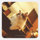 Search for live animal stickers Close up