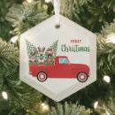 Search for pickup truck christmas tree decorations Car