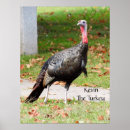 Search for turkey hunt posters Thanksgiving