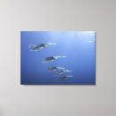 Search for teamwork art Animal