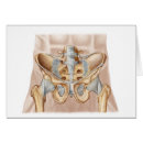 Search for ligaments Healthcare