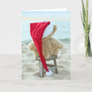 Search for bear christmas cards Water