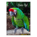 Search for listening cards Bird