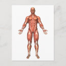 Search for front view postcards Strength