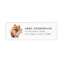 Search for pom pom return address labels Watercolor