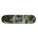 Search for raccoon skateboards Racoon