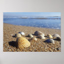 Search for greg posters Florida key