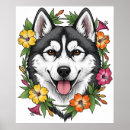 Search for sled posters Huskies