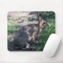 Search for brown rabbit mousepads Wildlife