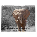 Search for wonderful calendars Animals