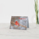 Search for bird tree cards Cardinal