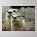 Search for river otters posters Animal