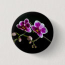 Search for pale badges Black