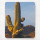 Search for cactus mousepads Tucson