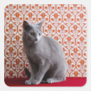Search for cat background stickers Cats