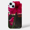 Search for amaryllis electronics Red