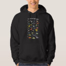Search for dino hoodies Identification