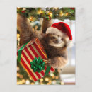 Search for sloth christmas invitations Humour