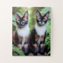 Search for siamese cat puzzles Pet
