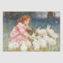 Search for rabbit tissue paper White rabbits