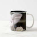 Search for baby pig mugs Animal