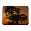 Search for savannah magnets Africa