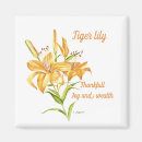 Search for orange gold magnets Flower
