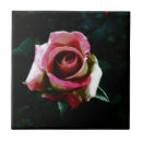 Search for red rose tiles Petals