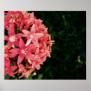Search for fuschia art Purple