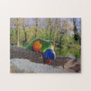 Search for lory Rainbow lorikeet