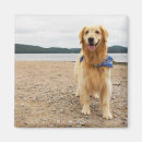 Search for hound puppy magnets Mutt