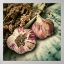 Search for garlic posters Vegetables
