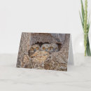 Search for bird of prey cards Animal
