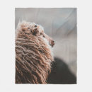 Search for sheep blankets Vintage