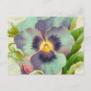Search for pansy flower postcards Victorian