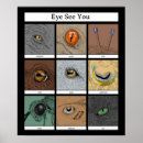 Search for your eye art Elephant