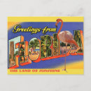 Search for vintage florida postcards Antique