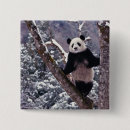 Search for panda badges Environment